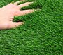 Travní koberec Wimbledon - extra nabídka!