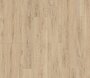 Edge LVT / 0310003 Ficus