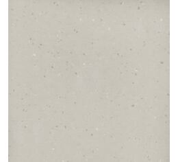 Cyrene / 1360 Elephant 