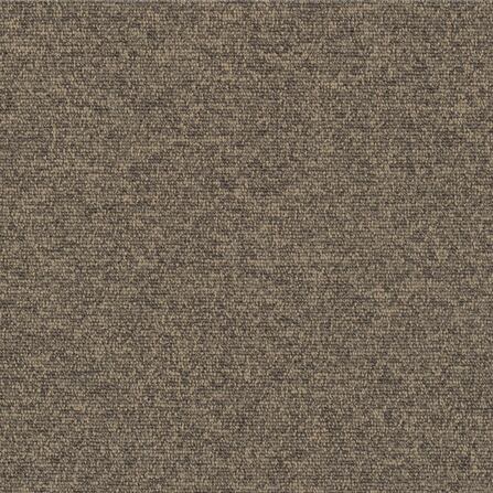 E-Blitz / 39 brown